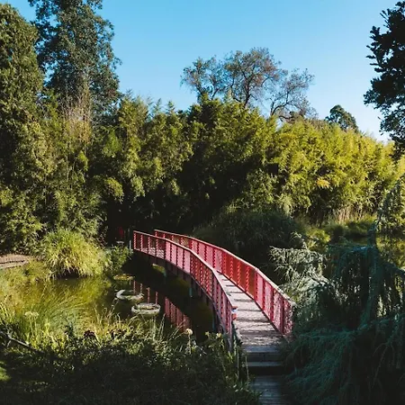 Sc540-f171 Cyprien - 6 Couchages - Appt 3 Pieces